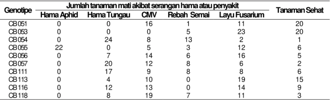 Tabel  3  Jumlah  kematian  tanaman  tiap  genotipe  cabai  merah  akibat  serangan  hama  atau  penyakit  