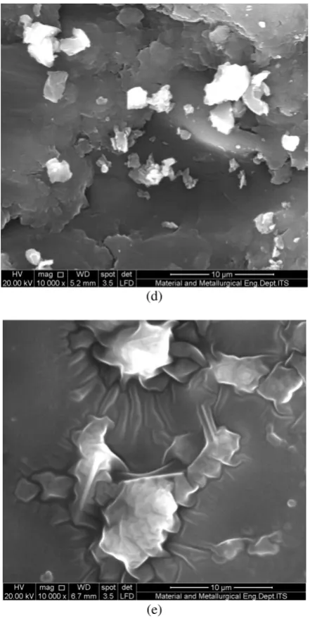 Gambar 2. Mikrograf SEM Material Komposit Epoksi/TEA/Grafit/MAH perbesaran 10.000X (a) 0%MAH (b) 3%MAH (c) 6%MAH (d) 9%MAH  (e) 12%MAH 