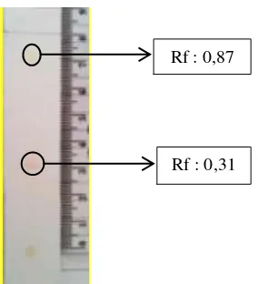 Gambar 3. pelarut Hasil KLT Ekstrak  karotenoid dari khamir phaffia rhodozyma dengan  aseton : heksana (1:3) Identifikasi Senyawa karotenoid 