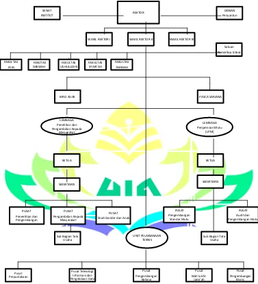 Gambar 3.1: Struktur Organisasi Universitas Islam Negeri Raden Intan 