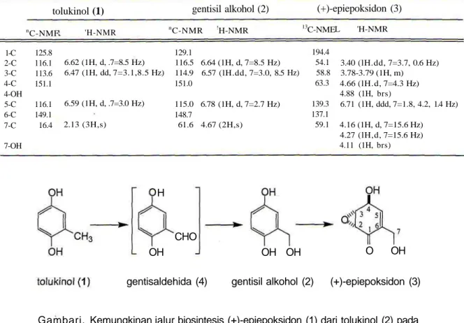 Tabel 2. Data  13 C- dan 'H-RMI dalam aseton-rf,; untuk tolukinol (1), gentisil alkohol (2) dan (+)-epiepoksidon (3).