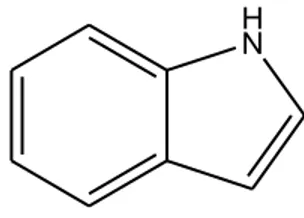 Gambar 2. 3. Struktur Alkaloid Indol 