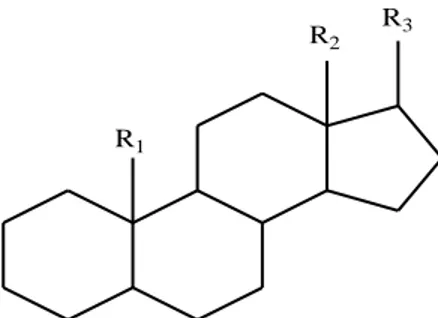 Gambar 2. 5. Struktur Siklopentanoperhidropenantren 