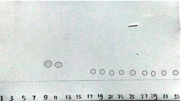 Gambar 4.1: Kromatogram hasil KLT dari KKG  