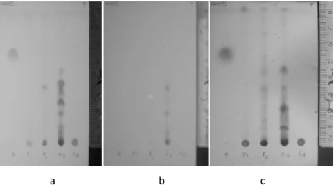 Gambar  1.  Identifikasi  kualitatif  terpenoid  dengan  sistem  fase  diam:  silika  gel  GF 254  nm; fase gerak: toluen