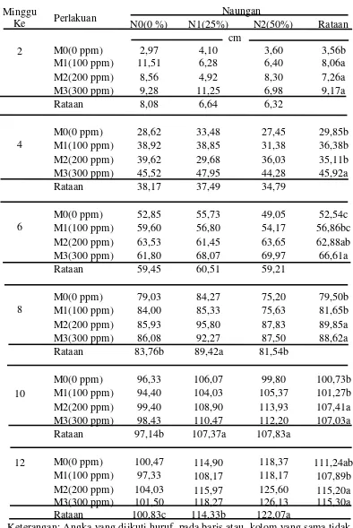 Tabel 1.Tinggi  tanaman  2, 4, 6, 8, 10 dan 12 MST karena pengaruh naungan dan kosentrasi Rootone-F