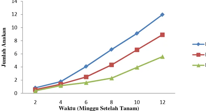 Gambar 5. Grafik pertumbuhan jumlah anakan tanaman vetiver pada naungan 0, 25 dan 50% pengamatan 2 MST-12 MST