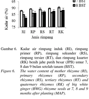 Figure 6. The  water  content  of  mother  rhizome  (RI),  primary  rhizomes  (RP),  secondary  rhizomes  (RS),  tertiary  rhizomes  (RT)  and  quaternary  rhizomes  (RK)  of  big  white  ginger (BWG)  rhizome  seeds at  7, 8 and 9  months after planting (