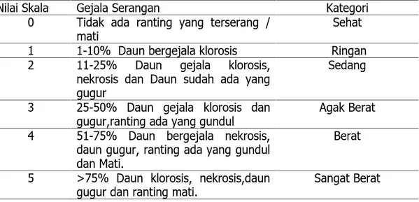 Tabel  1.  Skala  Keparahan  Penyakit  Mati  Ranting  (Nur  Aini, 2014)  Modifikasi  dalam (Martinius, 2015).