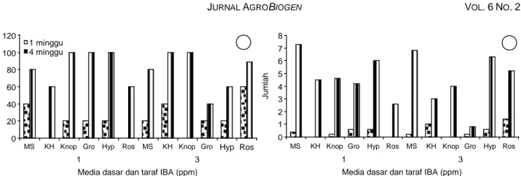 Gambar 7.  Pengaruh beberapa macam formulasi media terhadap persentase perakaran (A) dan jumlah akar (B) tunas in vitro pisang Amorang