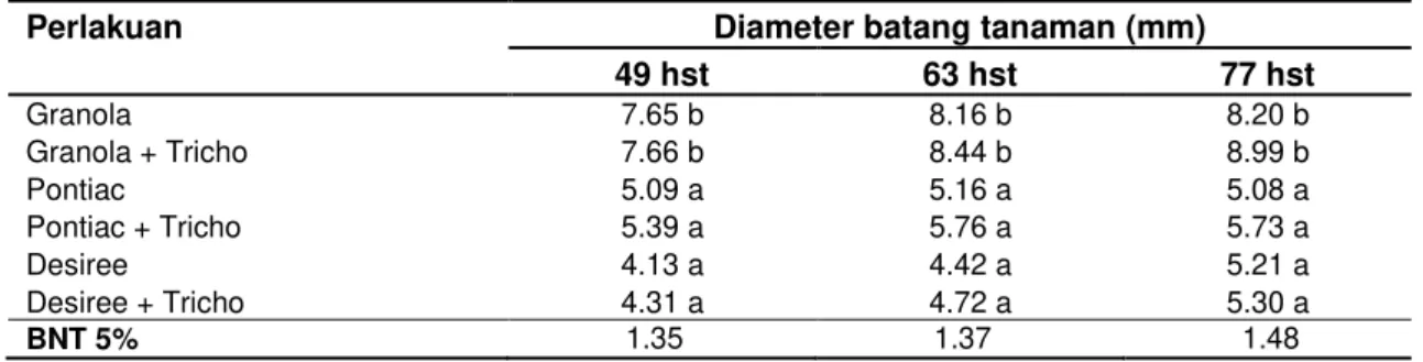 Tabel  2  Diameter  batang  tanaman  pada  tiga  varietas  kentang  dan  perlakuan  Trichoderm  harzianum di setiap umur pengamatan 
