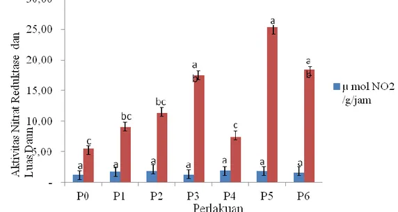 Ilustrasi  1.  Perhitungan  Luas  Daun  Tanaman  pada  kontrol  (P0);  Gipsum  (P1);  abu  sekam  padi  (P2);  pupuk  kandang  (P3);  Gipsum  dan  abu  sekam  padi  (P4);  Gipsum  dan  pupuk  kandang  (P5);  abu  sekam padi dan pupuk kandang (P6)