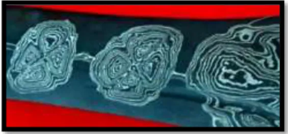 Gambar 3 : Pamor Melati Rinonce 