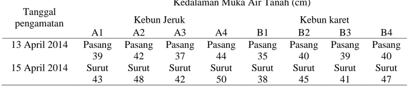 Tabel 3. Hasil Pengukuran Kedalaman Muka Air Tanah (cm) pada Kebun Jeruk dan Karet pada Saat  Pasang dan Saat Surut