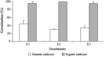 Table 3. Effect of different treatments of encapsulating applied to zygotic embryos of Nothofagus alpina.