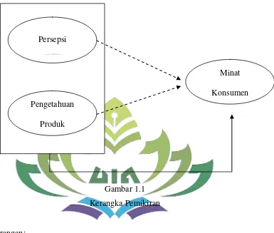 Gambar 1.1 Kerangka Pemikiran 