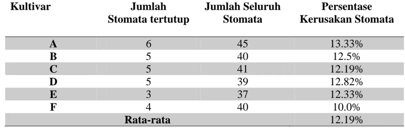 Tabel 3. Data Pengamatan Kerusakan Stomata yang Diperoleh dari Setiap Kultivar Selama 5  Hari  :  Kultivar  Jumlah  Stomata tertutup                                      Jumlah Seluruh Stomata  Persentase  Kerusakan Stomata  A  6  45  13.33%  B  5  40  12.