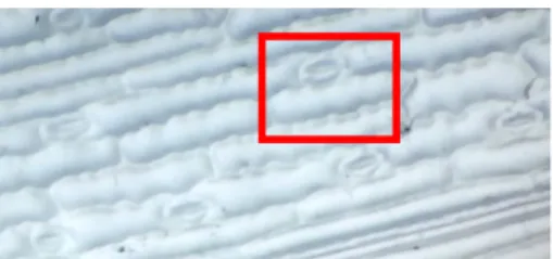 Gambar 19. Daun tanpa pemberian suara ultrasonik Pada Gambar 19 menunjukan bahwa stomata pada  daun tidak membuka  apabila  tidak diberi gelombang suara menggunakan alat ini.