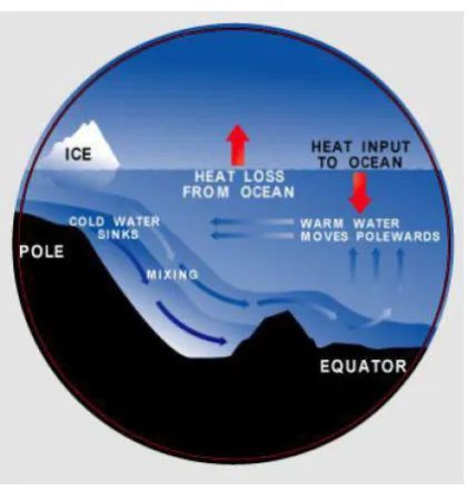 Gambar 2.5 Siklus arus Thermohaline 