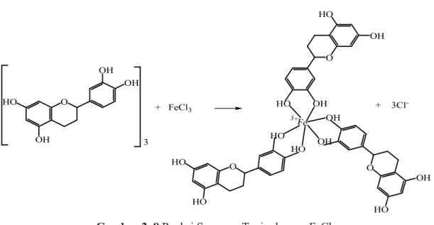 Gambar 2. 8 Reaksi Senyawa Tanin dengan FeCl 3