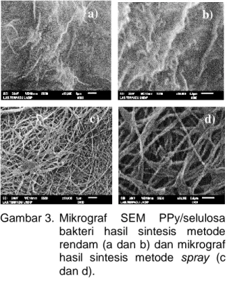 Gambar 3.  Mikrograf  SEM  PPy/selulosa  bakteri  hasil  sintesis  metode  rendam (a dan b) dan mikrograf  hasil  sintesis  metode  spray  (c  dan d)