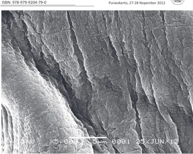 Gambar 6. Foto hasil scanning electron microscope (SEM) beads metformin HCl menggunakan  penambahan STPP 0,5% perbesaran 5.000 kali .