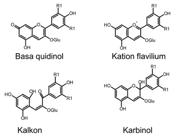 Gambar  6.  Grafik  pengaruh  pH  terhadap  absorbansi ekstrak zat warna alami buah lakum  (huruf  yang  berbeda  menunjukkan  perbedaan  yang nyata pada uji BNT p&lt;0,05)