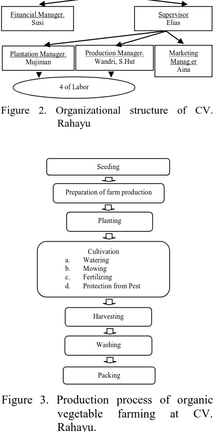 Figure 2. Organizational structure of CV. Rahayu 