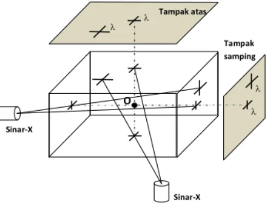 Gambar 10. Proyeksi perspective. 
