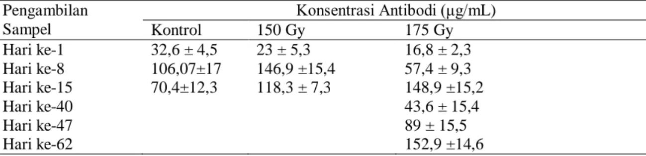 Tabel 1. Konsentrasi antibodi  setelah imunisasi pertama, kedua dan ketiga serta uji tantang pada kelompok mencit  kontrol, 150 Gy dan 175 Gy  Pengambilan  Sampel  Konsentrasi Antibodi (μg/mL) Kontrol 150 Gy 175 Gy  Hari ke-1  32,6 ± 4,5  23 ± 5,3  16,8 ± 