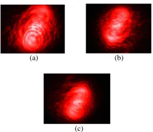 Gambar 2.5. Gambar pola interferensi Laser dioda  hijau dengan  λ  = (543±6) nm (Falah, 2008), 