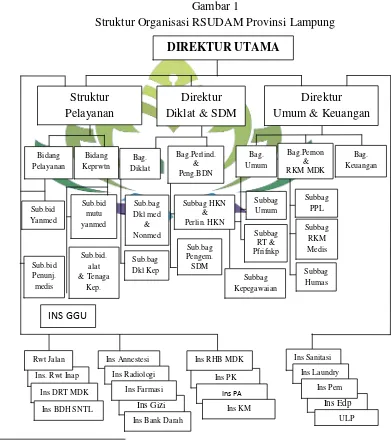 Gambar 1 Struktur Organisasi RSUDAM Provinsi Lampung 