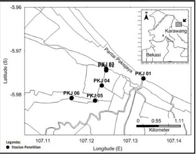 Gambar 1. Peta Lokasi Penelitian di Perairan Pakis Jaya (PKJ)  Fig. 1. Map of Study Area 
