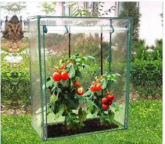 Gambar 2. Mini Greenhouse 