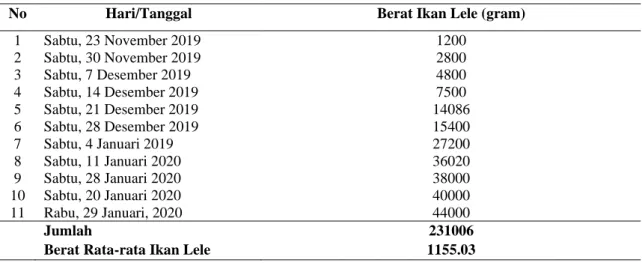 Tabel 1. Pertumbuhan berat ikan lele selama penelitian di kolam prafi 