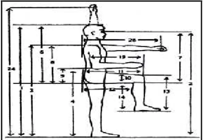 Gambar 2.1 Dimensi Antropometri Tubuh Manusia yang diperlukan untuk Perancangan Produk atau Fasilitas Kerja