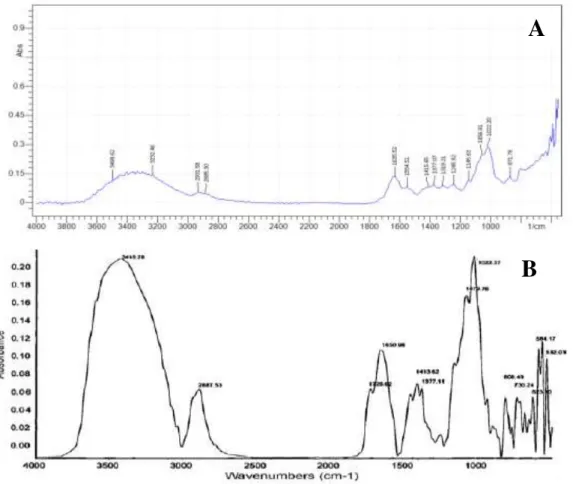 Gambar 1. Spektrum inframerah glukomanan hasil ekstraksi (A) dan spektrum inframerah  glukomanan (B) (An et al., 2010)