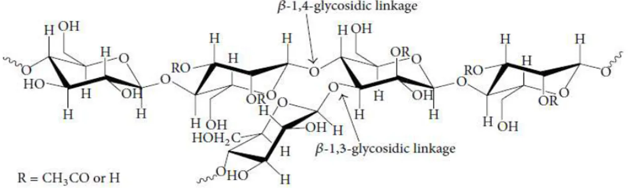 Gambar 2. Struktur Kimia Glukomanan (Lee et al., 2014) 