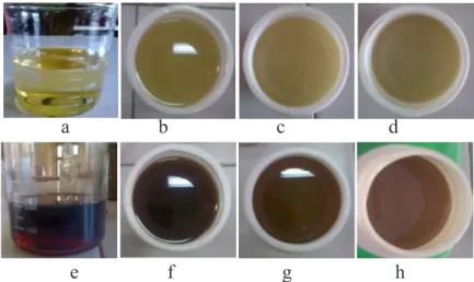 Gambar 3. Perubahan warna minyak pelumas sebelum dan setelah penambahan aditif (a) HVI 60 murni  (b) HVI 60 + 1% kopoli NR-ST, (c) HVI 60 + 3% kopoli NR-ST, (d) HVI 60 + 5% kopoli NR-ST, (e)  HVI 650 murni, (f) HVI 650 + 1% kopoli NR-ST, (g) HVI 650 + 3% k