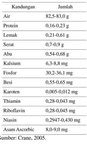 Tabel  2.  Zat  gizi  pada  buah  naga berwarna merah Kandungan Jumlah Air 82,5-83,0 g Protein 0,16-0,23 g Lemak 0,21-0,61 g Serat 0,7-0,9 g Abu 0,54-0,68 g Kalsium 6,3-8,8 mg Fosfor 30,2-36,1 mg Besi 0,55-0,65 mg Karoten 0,005-0,012 mg Thiamin 0,28-0,043 