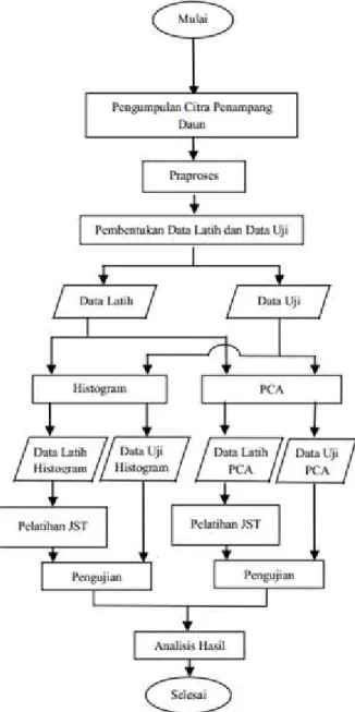 Gambar 1  Alur kerja penelitian 