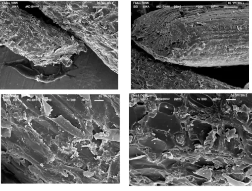 Gambar 2. Overlay Spektrum FTIR Coco Fiber 