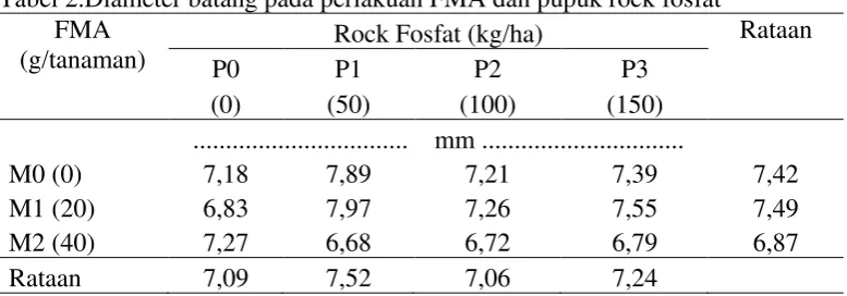 Tabel 2.Diameter batang pada perlakuan FMA dan pupuk rock fosfat 