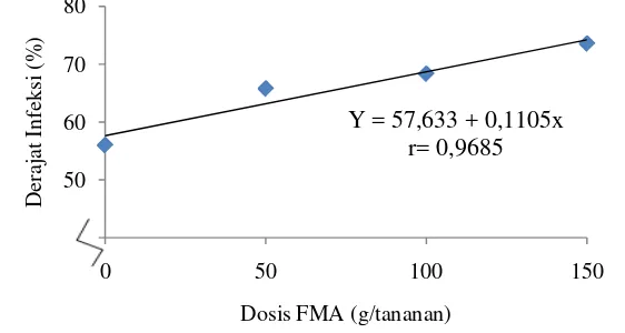 Grafik hubungan derajat infeksi pada perlakuan pupuk rock fosfat disajikan pada gambar 4 berikut