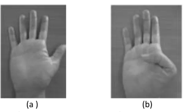 Gambar 4. Posisi jari tangan pada tujuan output alat