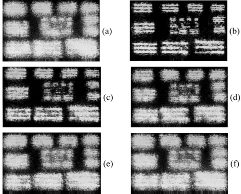 Gambar 5  Citra hasil dari perangkat optik: (a) tanpa tapis, dan dengan kertas  tissue pada diameter tapis: (b) 0,75 mm , (c) 1,0 mm , (d) 1,6 mm , (e) 2,1 mm  dan (f) 2,5 mm