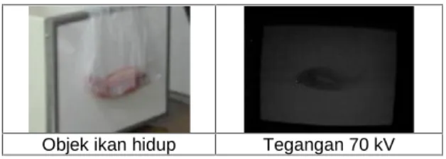 Gambar 8. Pengujian dengan Objek Ikan