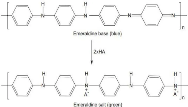 Gambar 2.5 Protonasi pada Emeraldine base menjadi Emeraldine  Salt (Palaniappan, 2008)