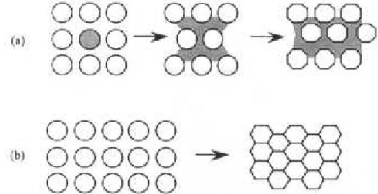 Gambar 2.3 (a) Sintering fasa cair; (b) Sintering fasa padat