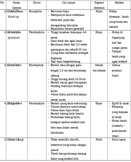 Tabel Pembahasan Hasil Pengamatan Botani Criptogamae
